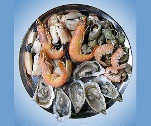China top in world seafood consumption: study