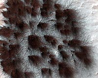 HiRISE Sees Signs Of An Unearthly Spring