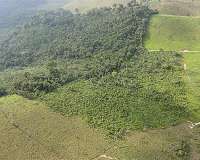 Investors want 'results' on deforestation: Brazil VP