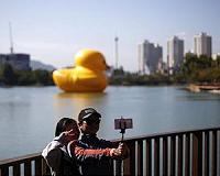 Activists condemn craze for wild animal selfies
