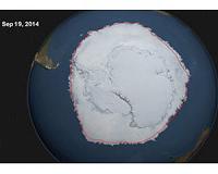 Antarctic sea ice in dizzying decline since 2014: study