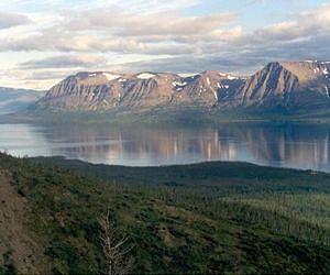 The cause of Earth's largest environmental catastrophe