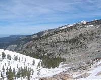 Wildfires threaten California's treasured Sequoias
