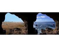 A lost world and extinct ecosystem