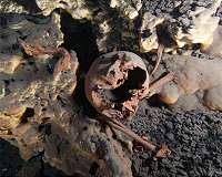 Early North Americans may have been more diverse than previously suspected