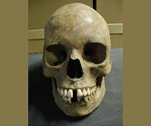 New research paper says we are still at risk of the plague