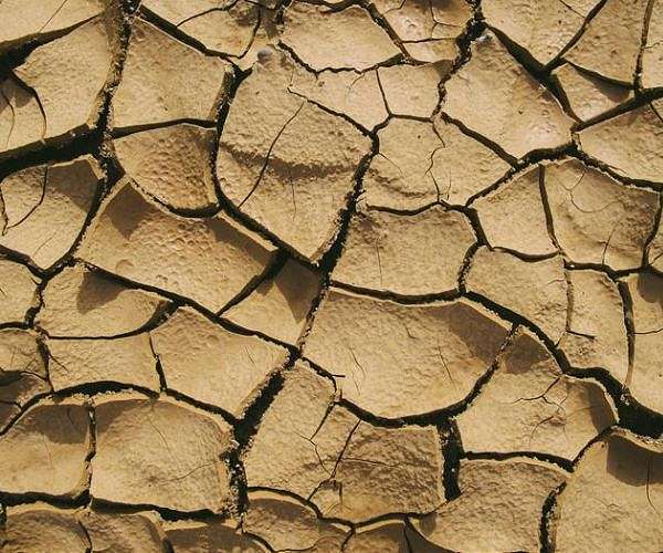 Satellite Monitoring Highlights Soil Sealing Challenges in the Mediterranean
