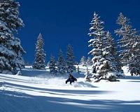 Bulgaria's skiing boomtown sparks dire nature warnings