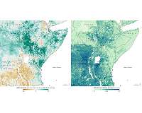 Could Satellites Help Head Off a Locust Invasion?