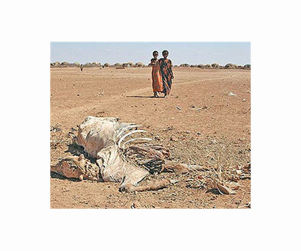 'We had to flee': Somalia on the run from extreme climate