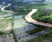 Antibiotics, Antimicrobials And Antifungals In Waterways