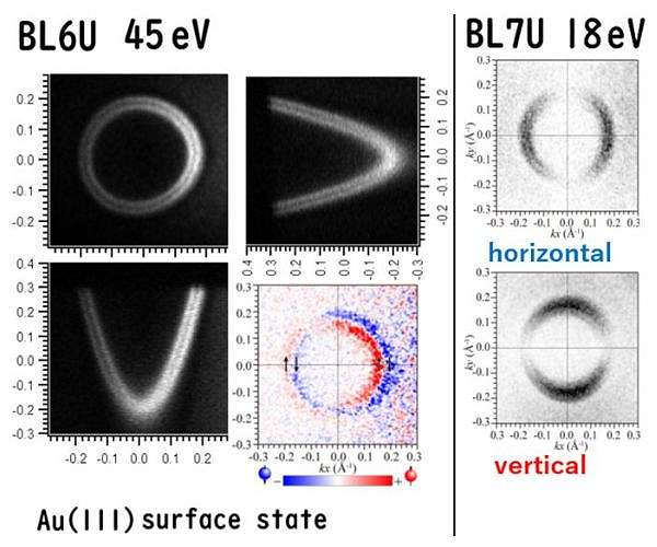 Gold electron spins mapped in full resolve decades-old surface debate