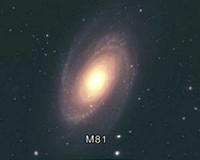 Remnants of galaxy interactions uncovered in a nearby galaxy group