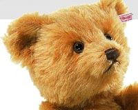 Teddy take-off: bears launched into space