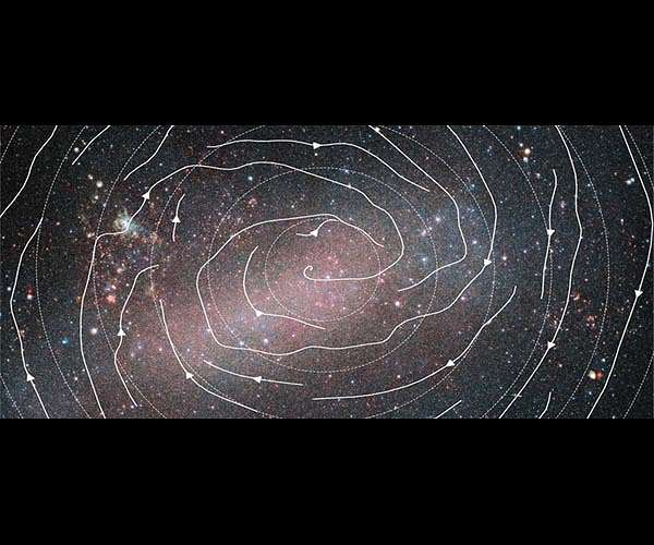 Stellar motions reveal backbone of the Large Magellanic Cloud