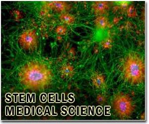 Chinese scientists report simple method of producing stem cells