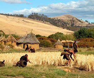 Study: Farming by man was long in coming