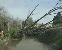 Central Europe storms leave seven dead