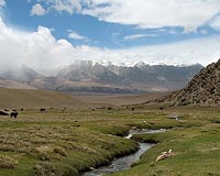 Riders on the plateau: Tibetans gather for horse festival