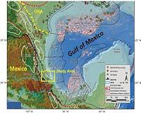 Modest interest in latest Gulf of Mexico lease