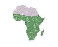 Can sub-Saharan Africa achieve sustainable access to energy for all by 2030?