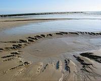 Europe's beaches getting cleaner: study