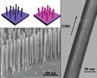 Multipurpose Nanocables Invented
