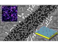 NRL researchers' golden touch enhances quantum technology
