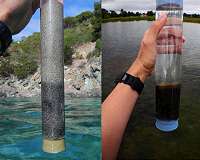 Symbiotic upcycling: Turning 'low value' compounds into biomass