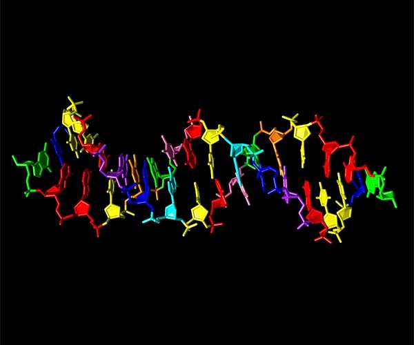 Mini CRISPR system promises easier cell engineering, gene therapy