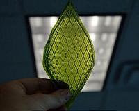 First synthetic biological leaf could allow humans to colonize space