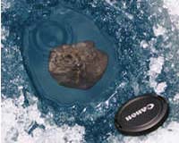 Finding Our Origin In A Meteorite