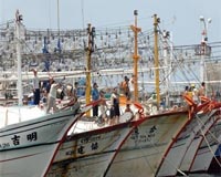 Taiwan fishermen fall victim to climate change: report