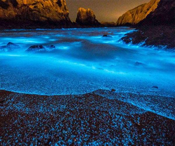Scientists are using new satellite tech to find glow-in-the-dark milky seas of maritime lore