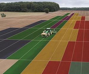 World needs global food system overhaul: report