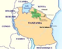 Oldest-ever humanlike hand bone found in Tanzania