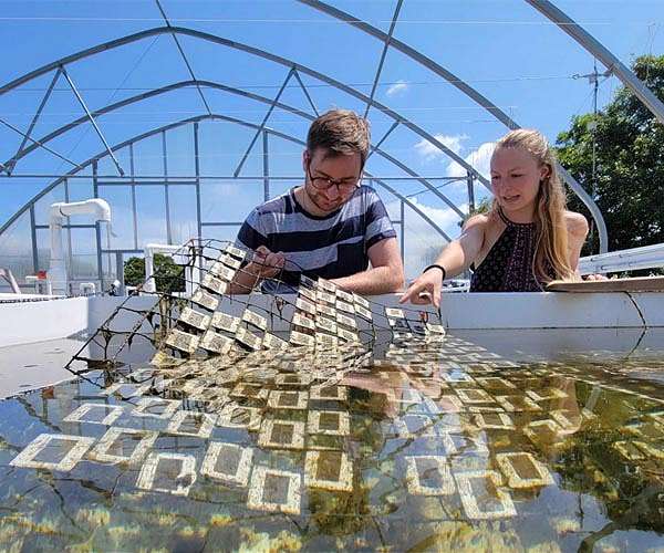 Sunlight can break down marine plastic into tens of thousands of chemical compounds, study finds