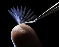 Body temperature triggers newly developed polymer to change shape