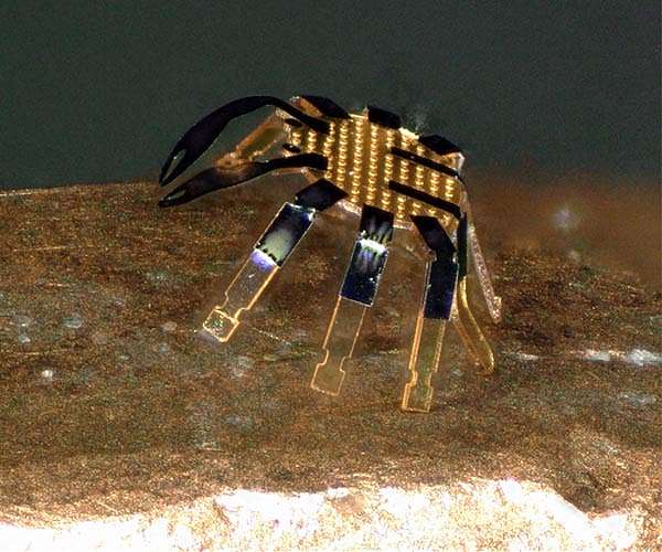 Tiny robotic crab is smallest-ever remote-controlled walking robot