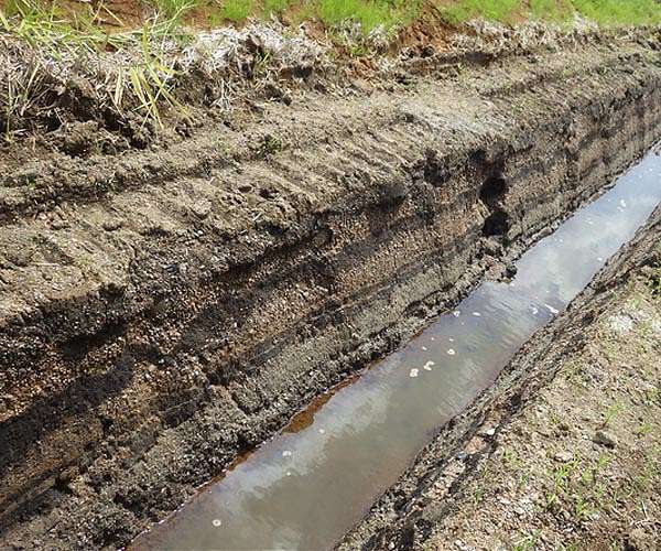 New analysis of tsunami deposits paints a clearer picture of Sanriku's past