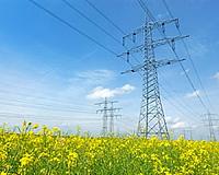 Australia-led group wins $7 bn electricity deal over China bid