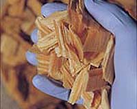 Alternative Fuel Demand Boosts Prices Of Forest Products
