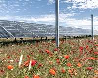 Trina Solar supplies 187 MW of double-glass modules to EnBW for Germany's largest solar power plant