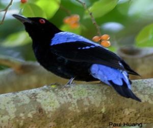 UN to create panel of biodiversity experts