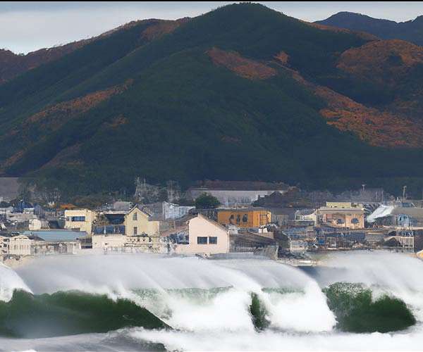 Blogs to Bluesky: social media shifts responses after 2004 tsunami
