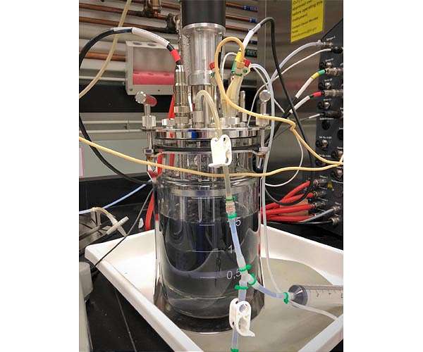 Microbe rewiring technique promises a boom in biomanufacturing