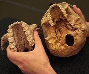 No nuts for 'Nutcracker Man'