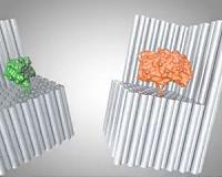 Chemical cages: New technique advances synthetic biology