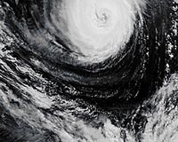 Nine killed as typhoon lashes South Korea