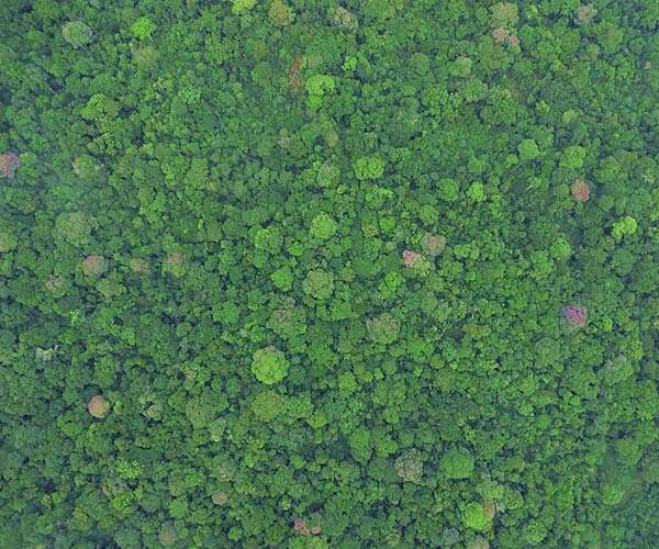 Lots of low- and no-cost ways to halt global warming